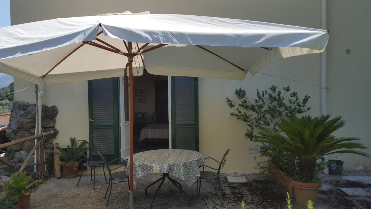 Gli Ulivi Agriturismo ซานตาเญลโล ภายนอก รูปภาพ