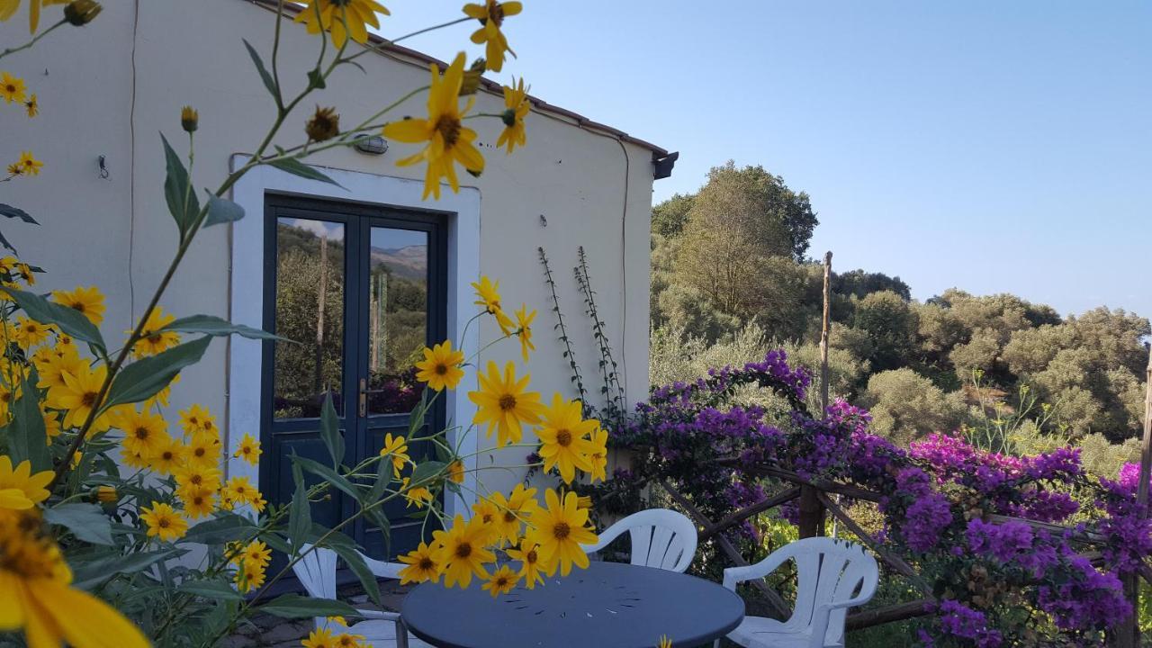 Gli Ulivi Agriturismo ซานตาเญลโล ภายนอก รูปภาพ