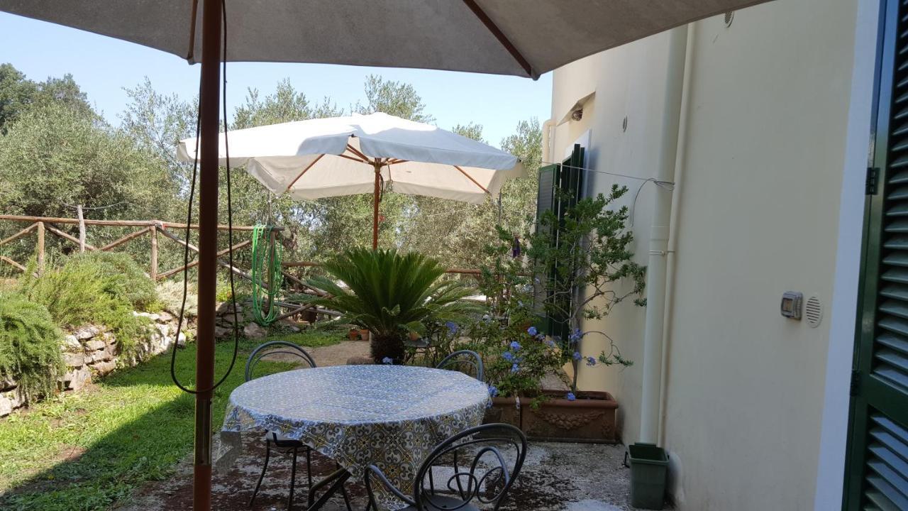 Gli Ulivi Agriturismo ซานตาเญลโล ภายนอก รูปภาพ