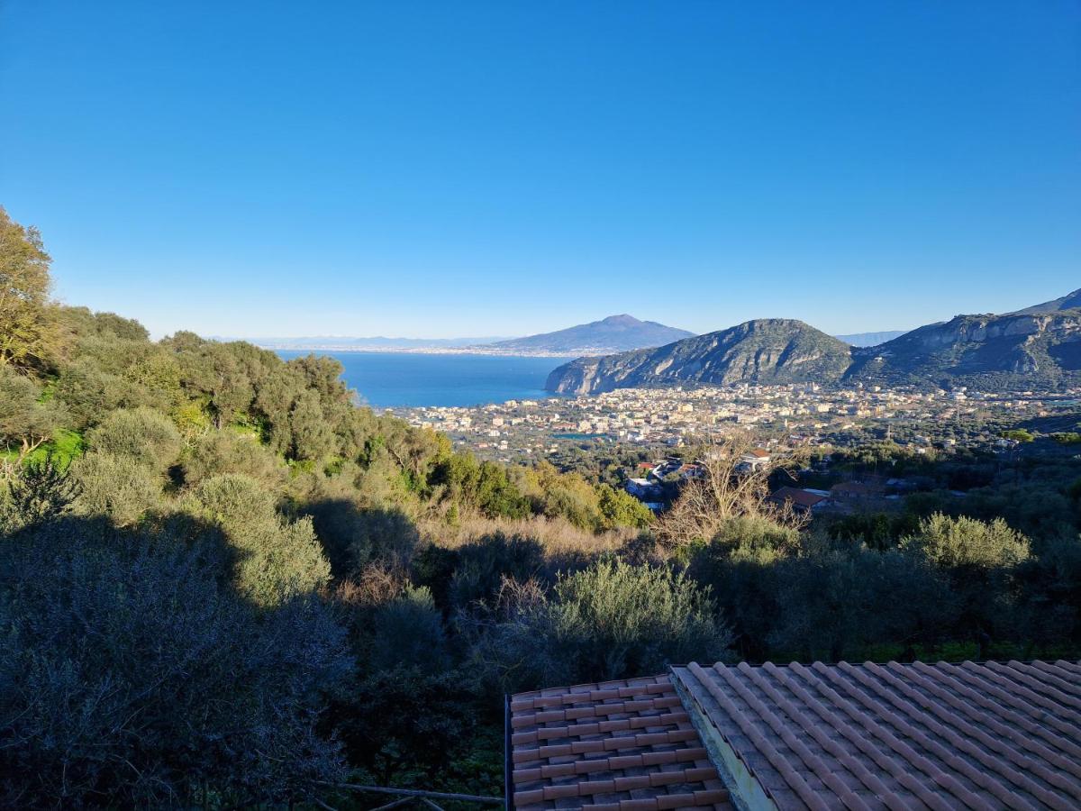 Gli Ulivi Agriturismo ซานตาเญลโล ภายนอก รูปภาพ