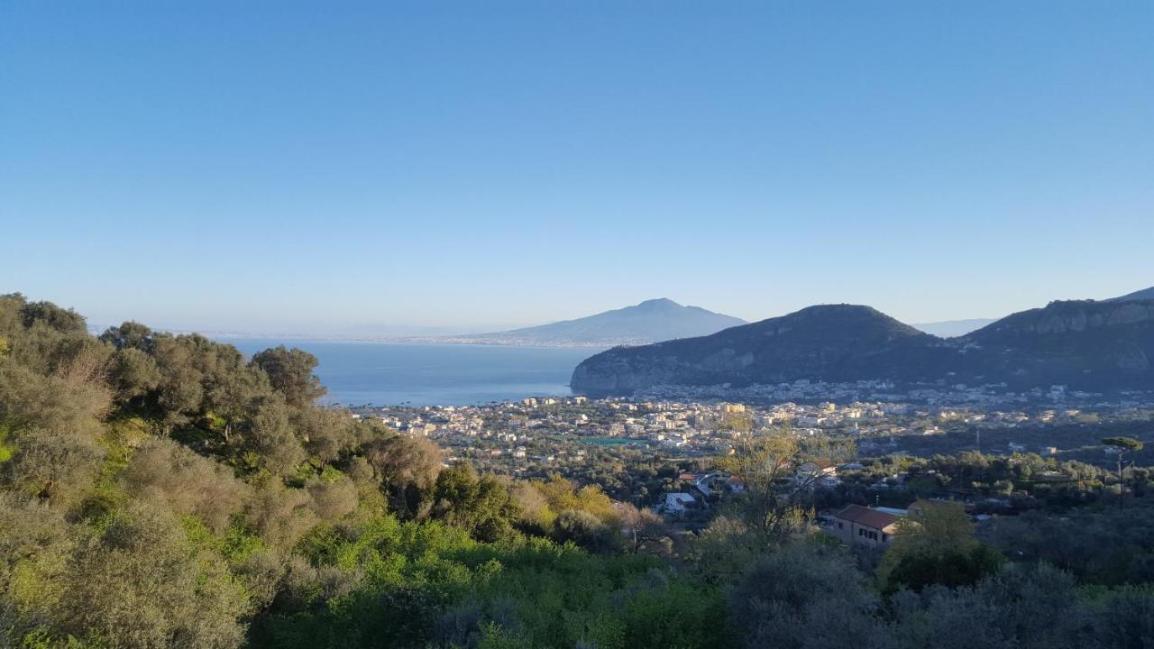 Gli Ulivi Agriturismo ซานตาเญลโล ภายนอก รูปภาพ