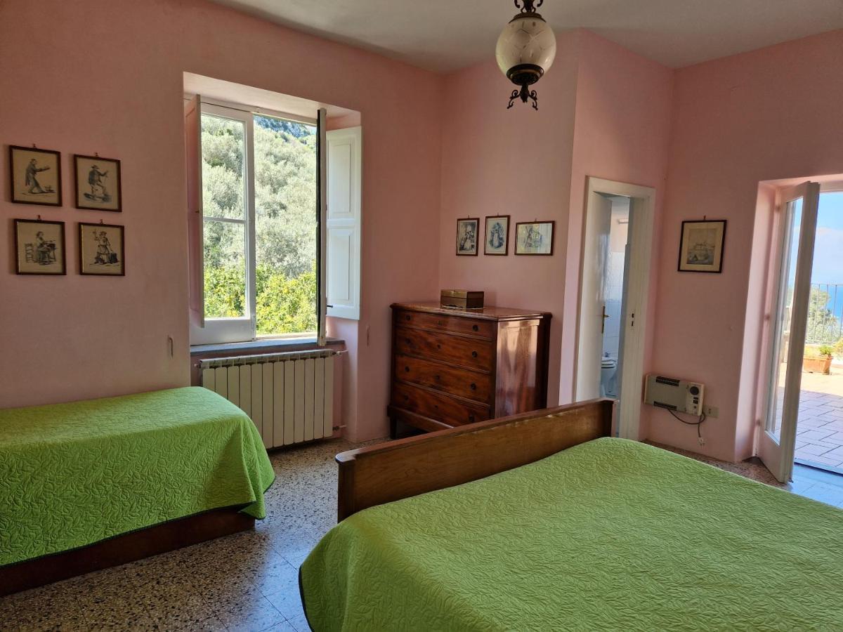 Gli Ulivi Agriturismo ซานตาเญลโล ภายนอก รูปภาพ