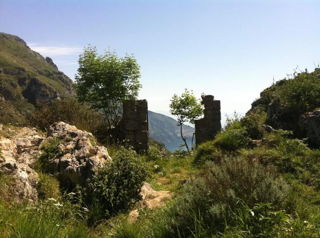 Gli Ulivi Agriturismo ซานตาเญลโล ภายนอก รูปภาพ