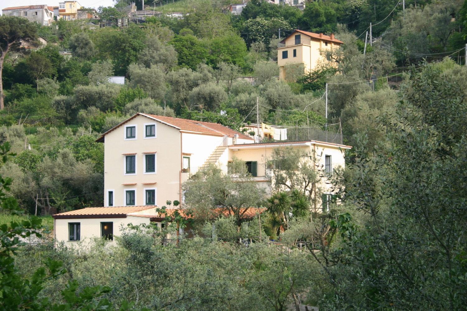 Gli Ulivi Agriturismo ซานตาเญลโล ภายนอก รูปภาพ