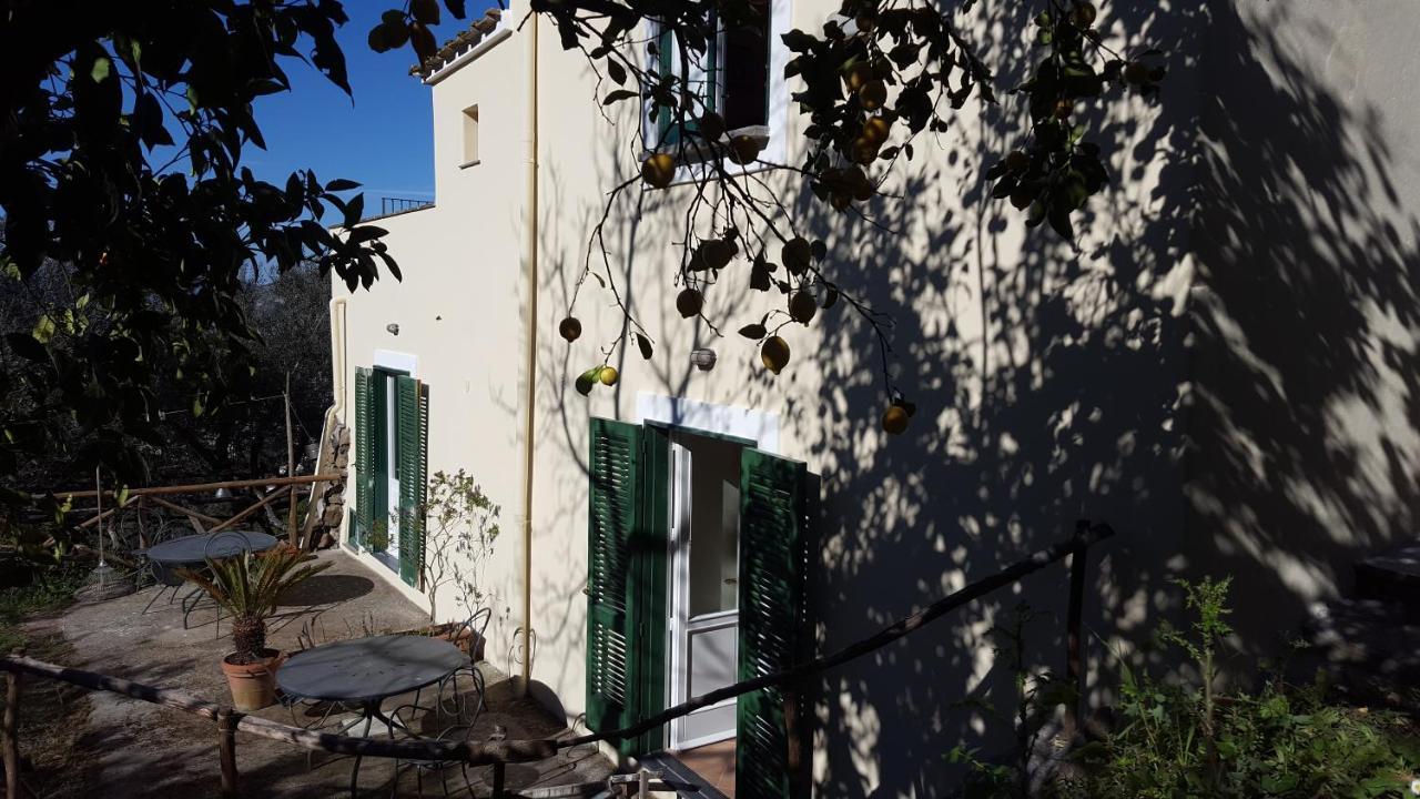 Gli Ulivi Agriturismo ซานตาเญลโล ภายนอก รูปภาพ