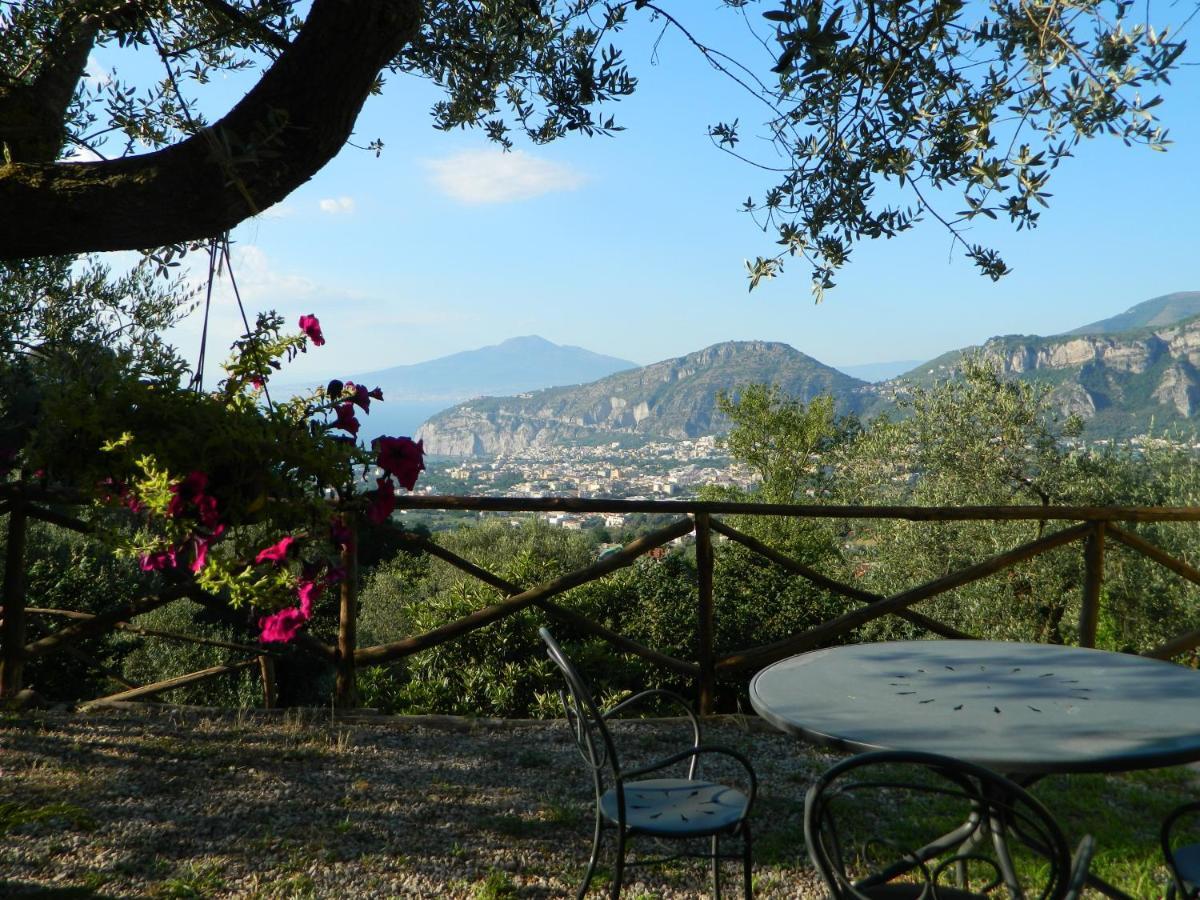 Gli Ulivi Agriturismo ซานตาเญลโล ภายนอก รูปภาพ